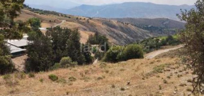 Agricultural field for sale in Paphos