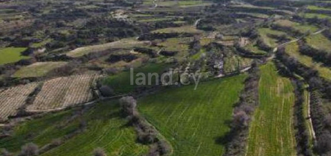 Agricultural field for sale in Paphos