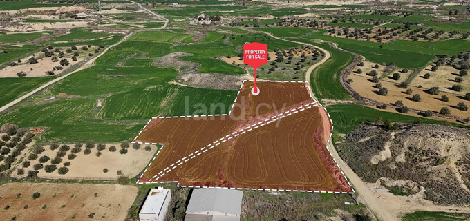 Agricultural field for sale in Nicosia