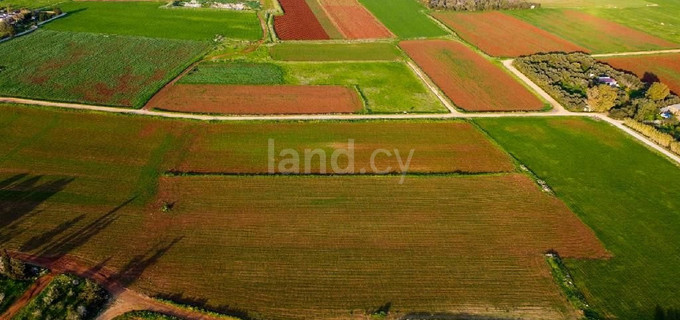 Agricultural field for sale in Larnaca