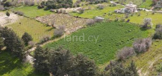 Residential field for sale in Paphos