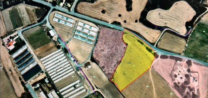 Agricultural field for sale in Larnaca