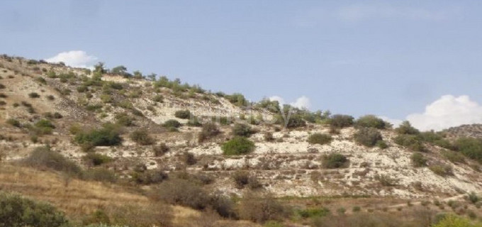 Terrain agricole à vendre à Paphos