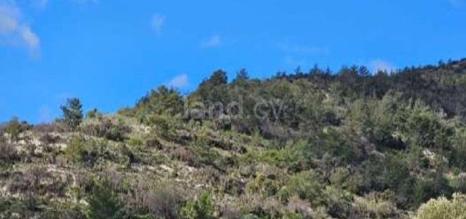 Agricultural field for sale in Paphos