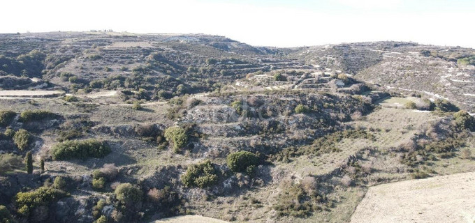 Terrain agricole à vendre à Paphos