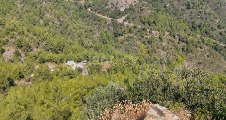 Agricultural field for sale in Larnaca