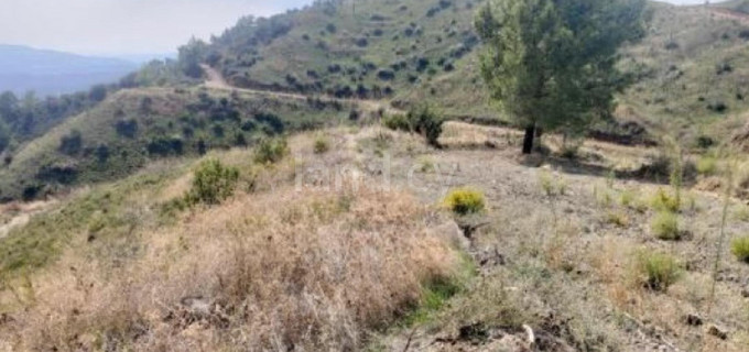 Terrain agricole à vendre à Larnaca