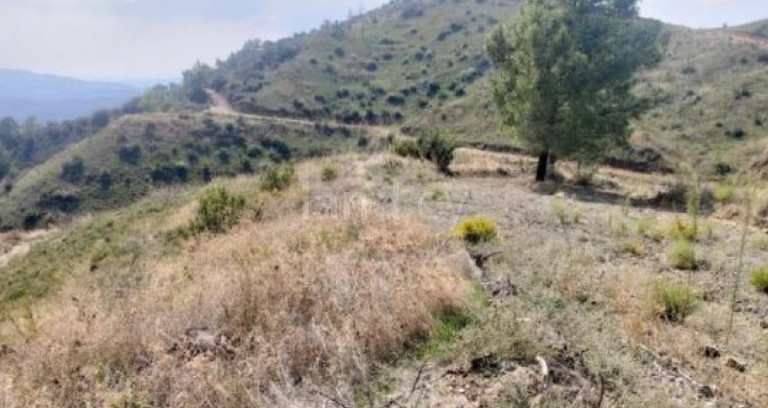 Agricultural field for sale in Larnaca