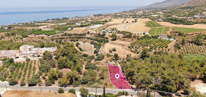 Residential field for sale in Paphos