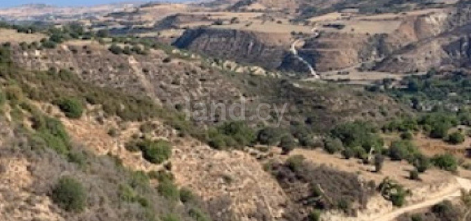 Terrain agricole à vendre à Paphos