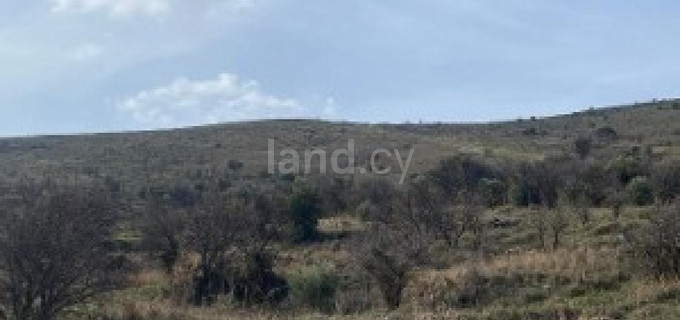 Landwirtschaftliches Baugebiet in Paphos zu verkaufen
