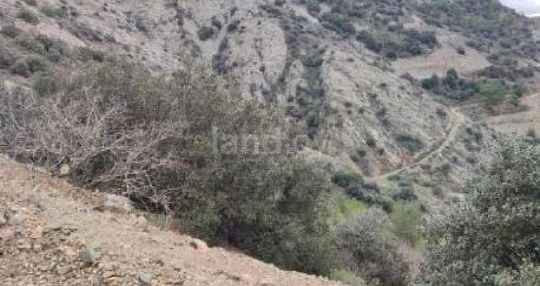Agricultural field for sale in Limassol