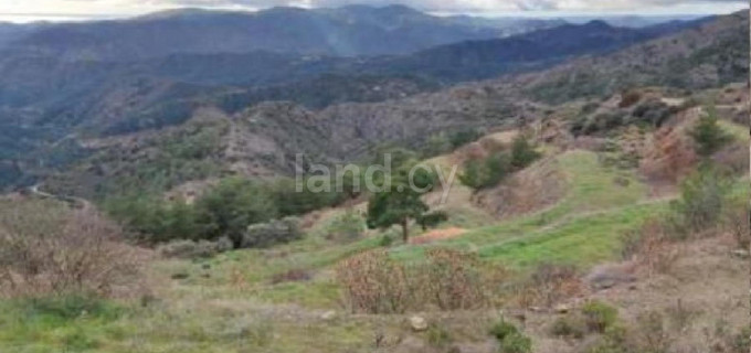 Agricultural field for sale in Limassol