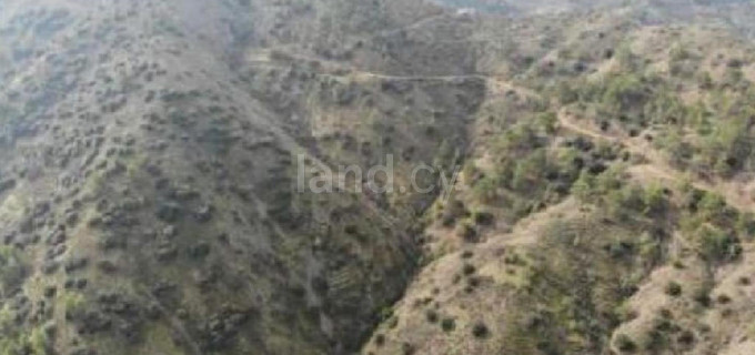 Agricultural field for sale in Nicosia