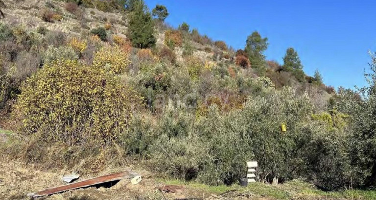 Αγροτικό αγροτεμάχιο προς πώληση - Λευκωσία