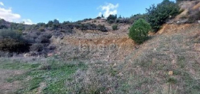 Residential field for sale in Larnaca