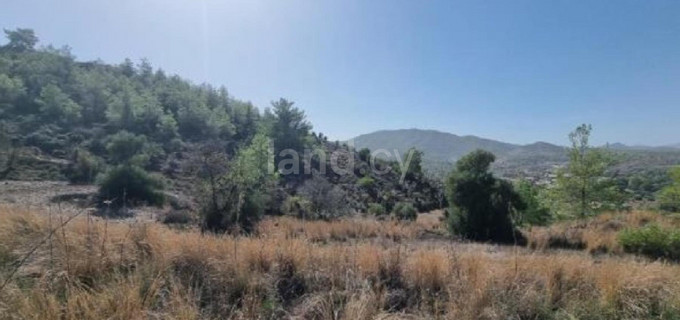 Agricultural field for sale in Nicosia