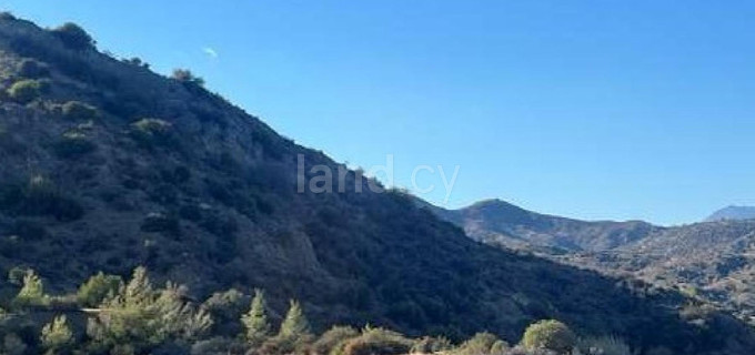 Agricultural field for sale in Limassol
