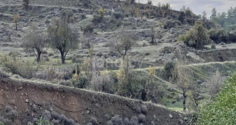 Jordbruksfält till salu i Nicosia