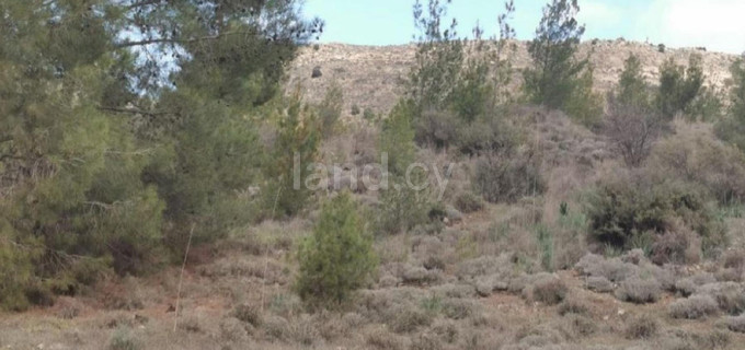 Campo agrícola a la venta en Nicosia
