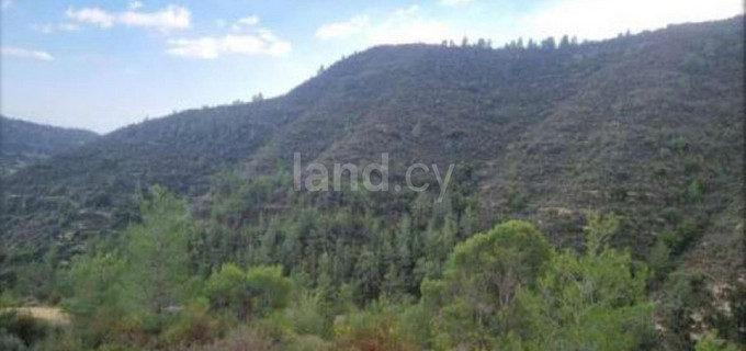 Agricultural field for sale in Limassol