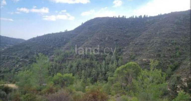 Jordbruksfält till salu i Limassol