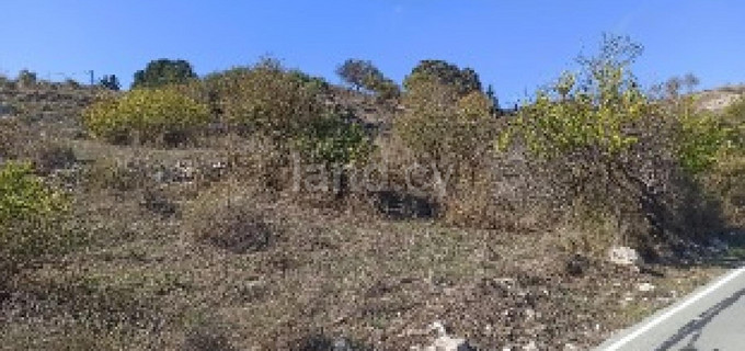 Landwirtschaftliches Baugebiet in Paphos zu verkaufen