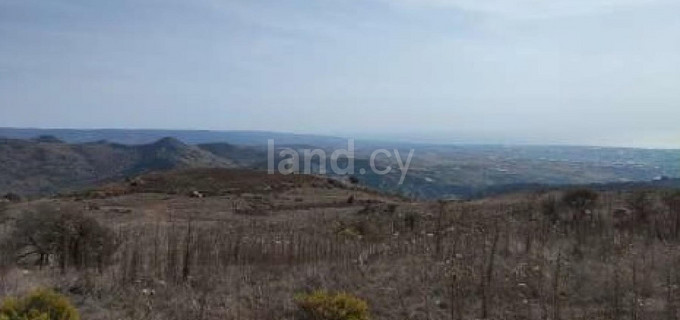Agricultural field for sale in Paphos