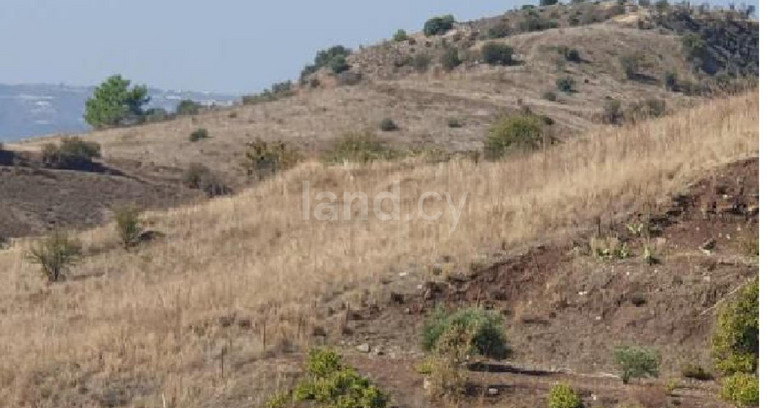 Agricultural field for sale in Paphos