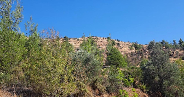 Αγροτικό αγροτεμάχιο προς πώληση - Λευκωσία