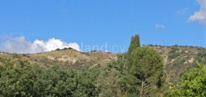 Campo agrícola a la venta en Paphos