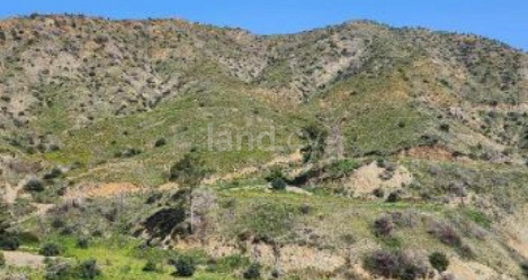 Terrain agricole à vendre à Larnaca