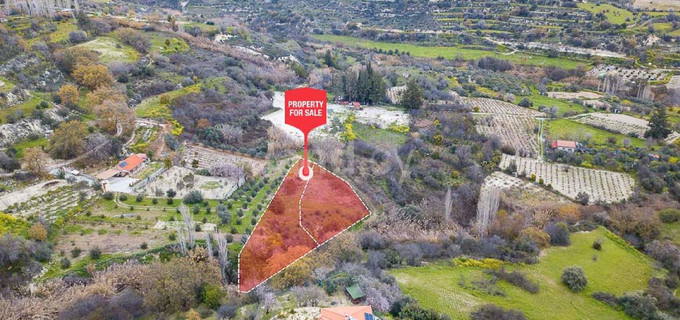 Agricultural field for sale in Limassol