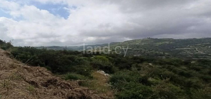 Landwirtschaftliches Baugebiet in Paphos zu verkaufen