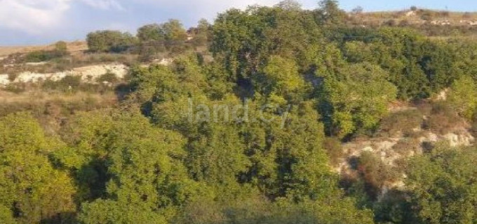 Landwirtschaftliches Baugebiet in Paphos zu verkaufen