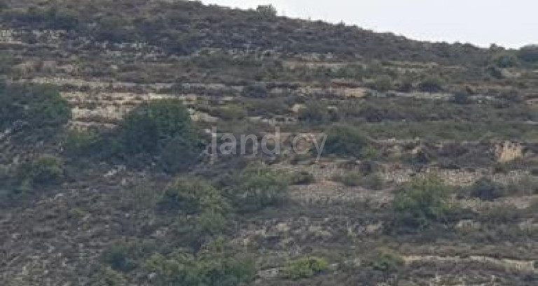 Terrain agricole à vendre à Paphos