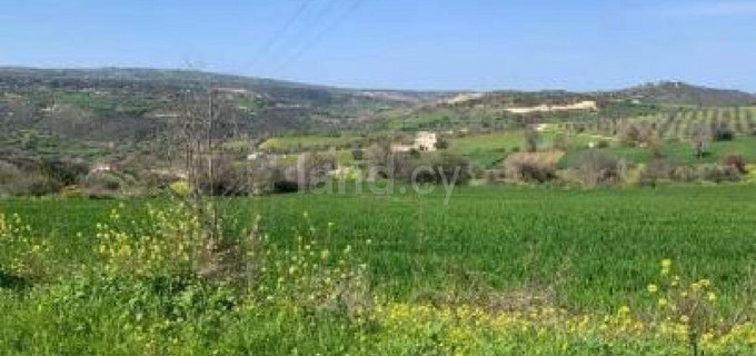 Terrain agricole à vendre à Paphos