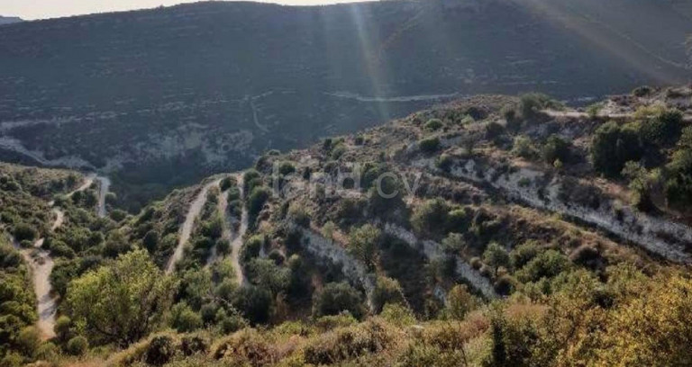 Terrain agricole à vendre à Limassol