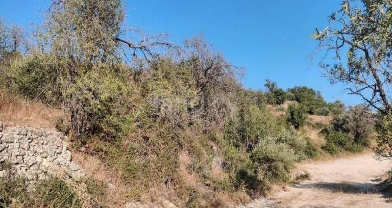 Campo residencial a la venta en Limassol