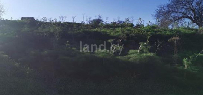 Agricultural field for sale in Paphos