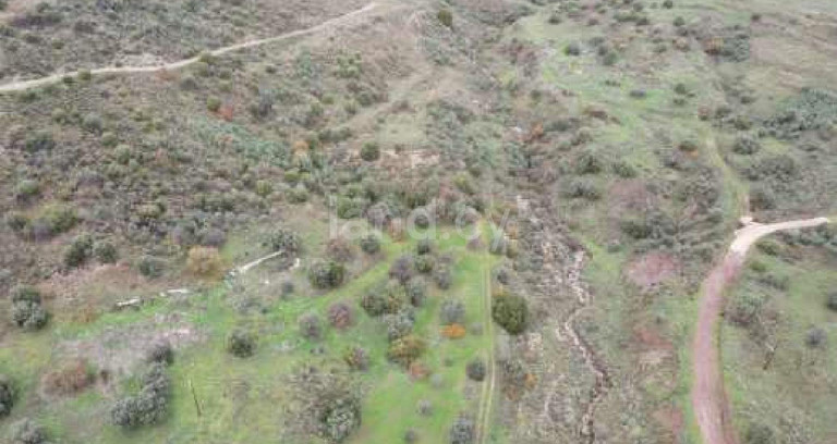 Campo agrícola a la venta en Paphos