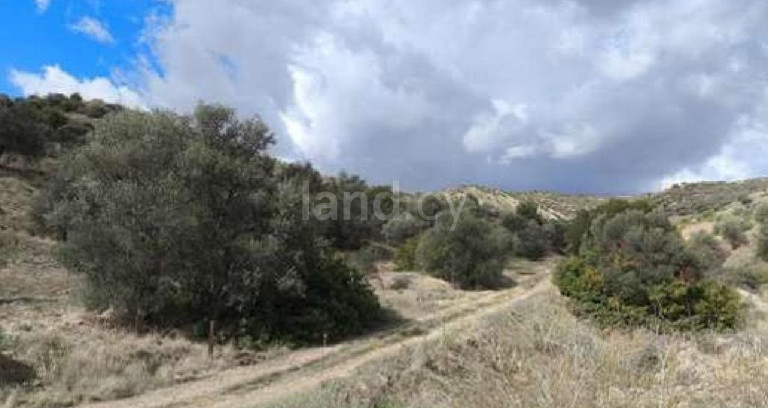Agricultural field for sale in Paphos