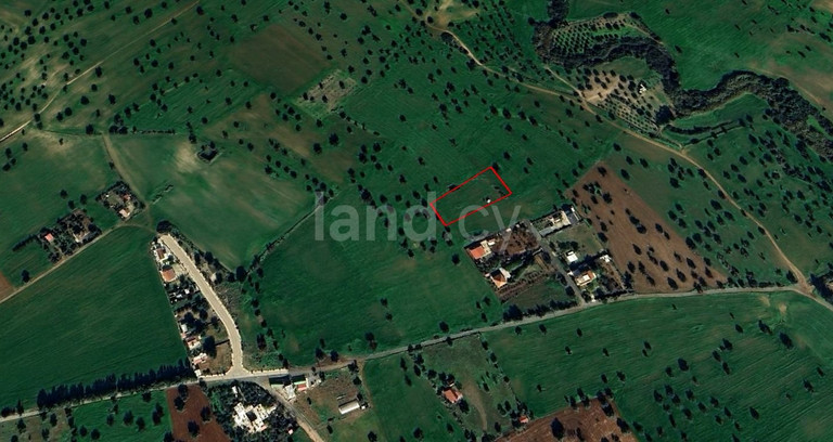 Terrain agricole à vendre à Larnaca
