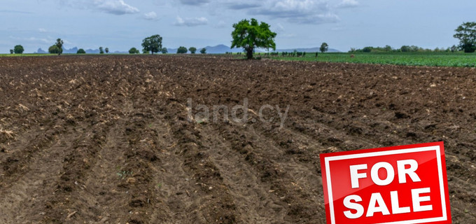 Сельскохозяйственное поле на продажу в Авгору