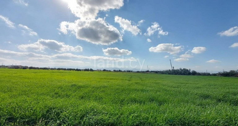 Terrain agricole à vendre à Nicosie