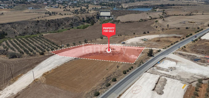 Agricultural field for sale in Nicosia