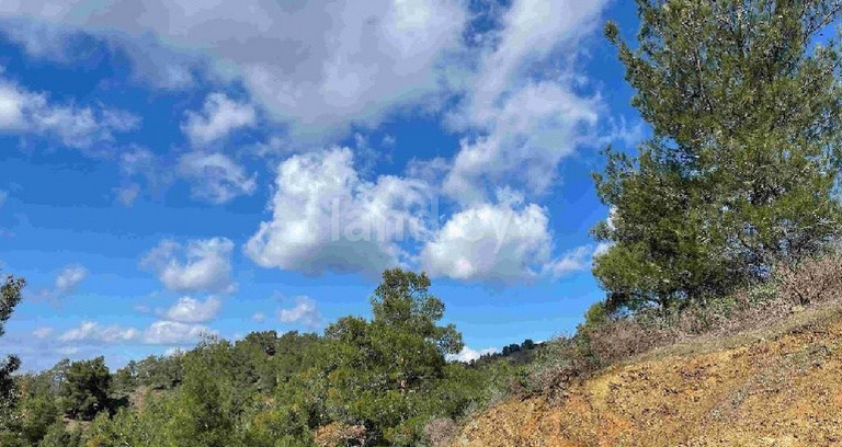 Agricultural field for sale in Nicosia