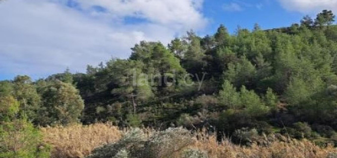 Сельскохозяйственное поле на продажу в Никосия