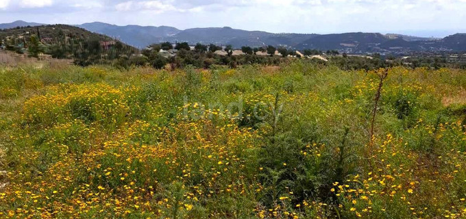 Residential field for sale in Limassol