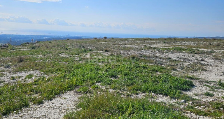 Agricultural field for sale in Larnaca